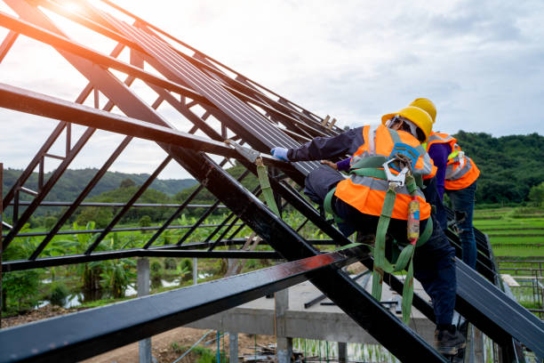 Gutter Installation and Roofing in Laurel, FL