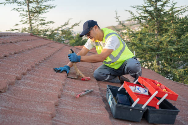 Best Tile Roofing Contractor  in Laurel, FL